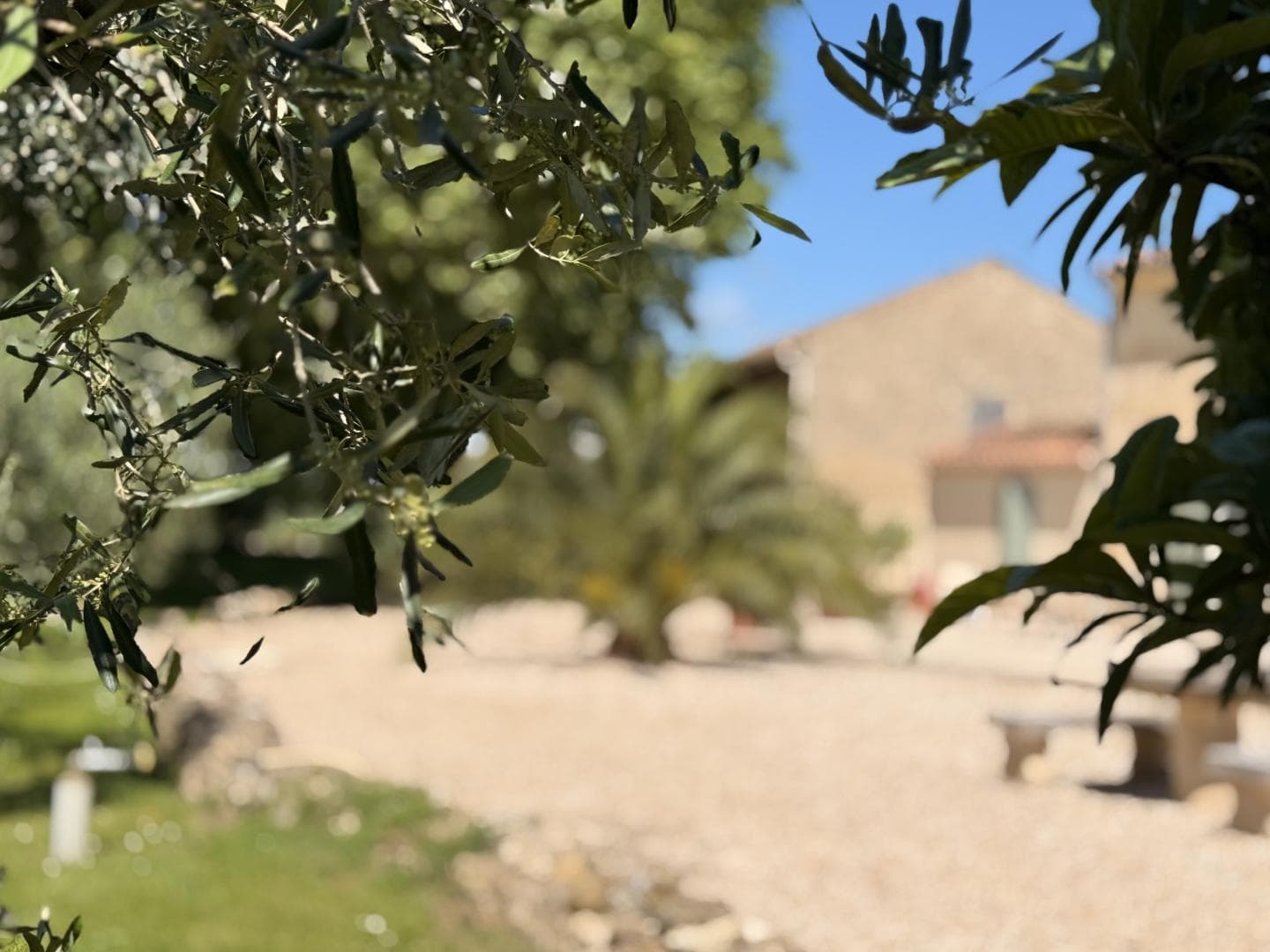 Le Gite Romarin