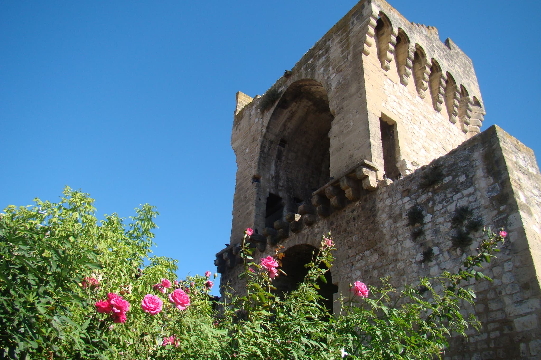 Tour Saint-Jacques