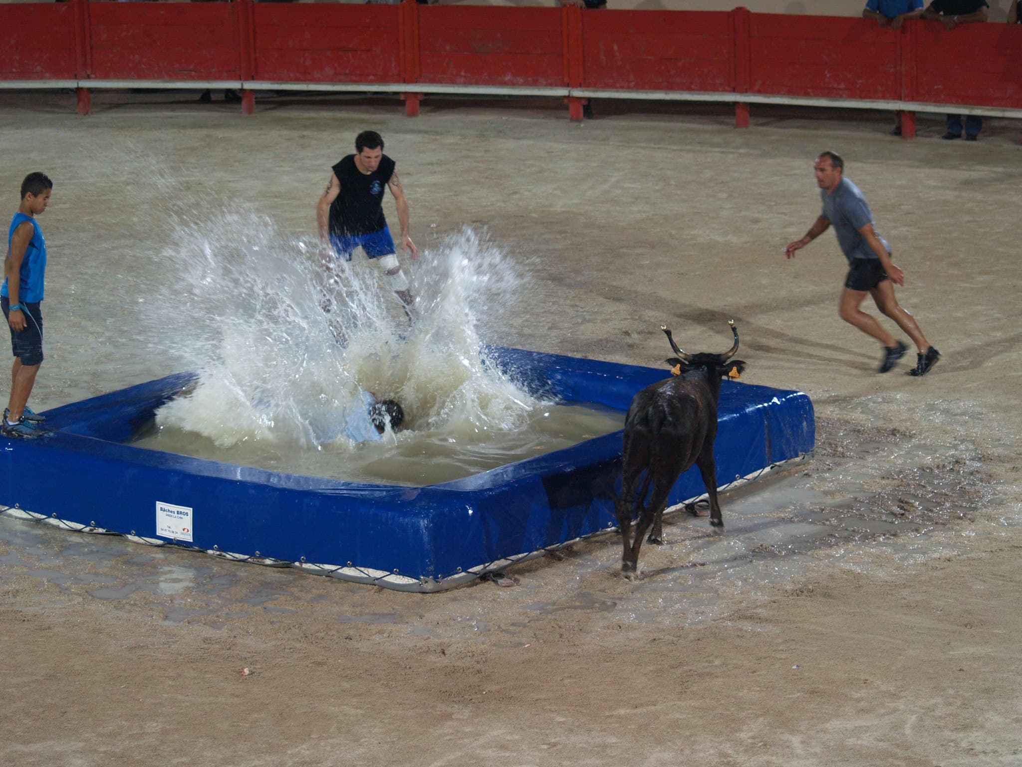 Toro piscine