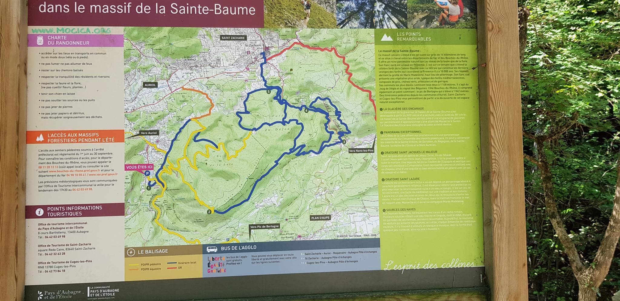 Les Cyprès