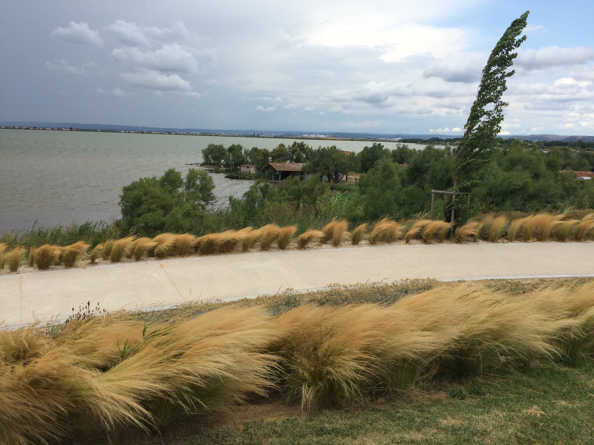 Marignane au fil de l'eau