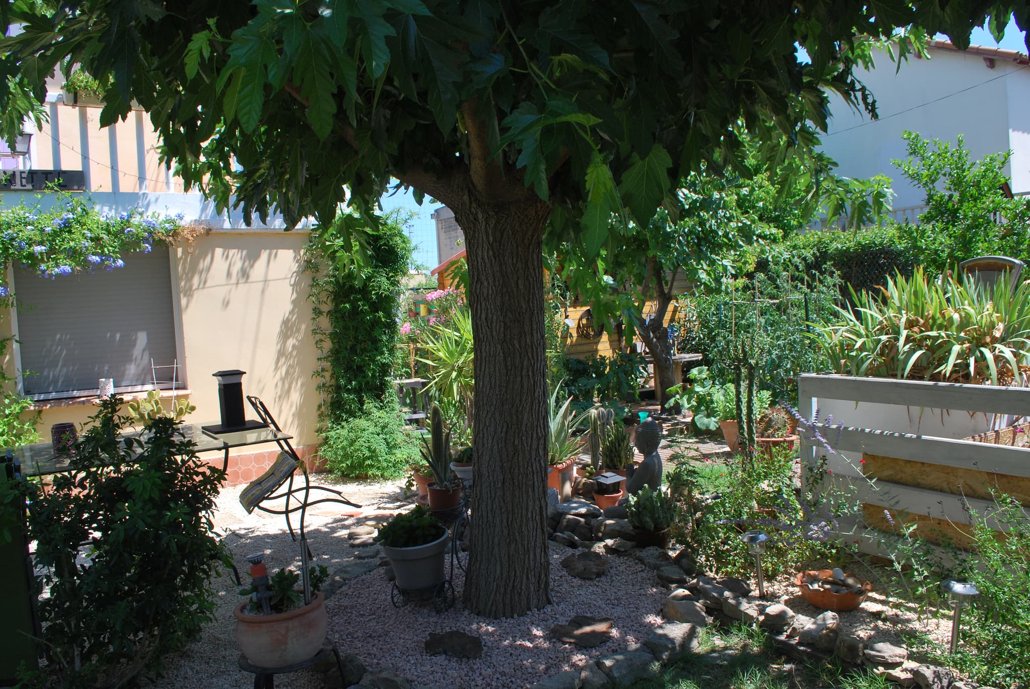 jardin