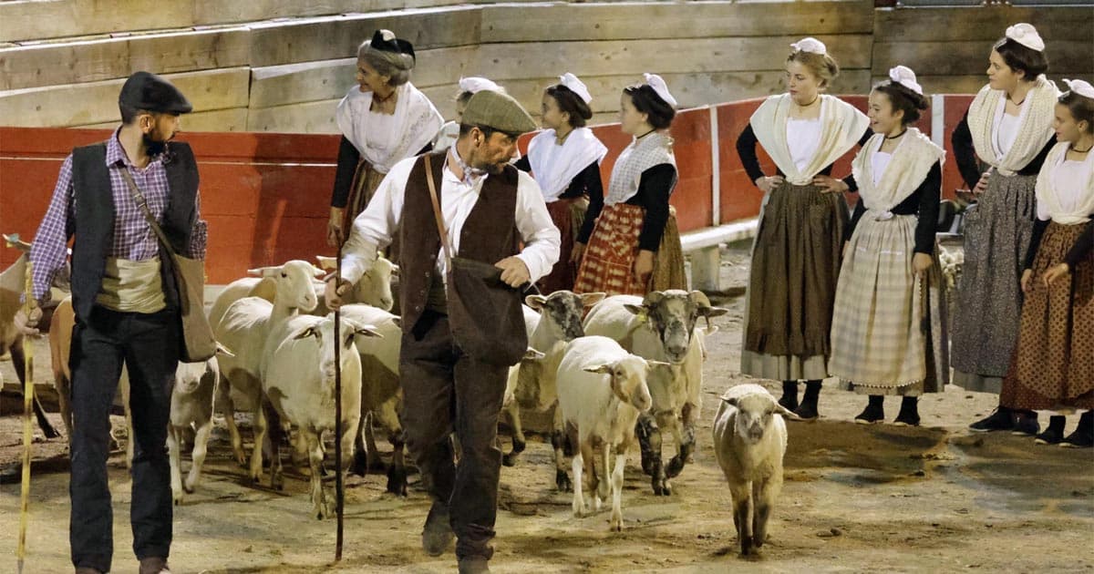 « Spectacle La Camargue des 4 saisons en collaboration avec l’Etoile de l’avenir »_Saintes-Maries-de-la-Mer