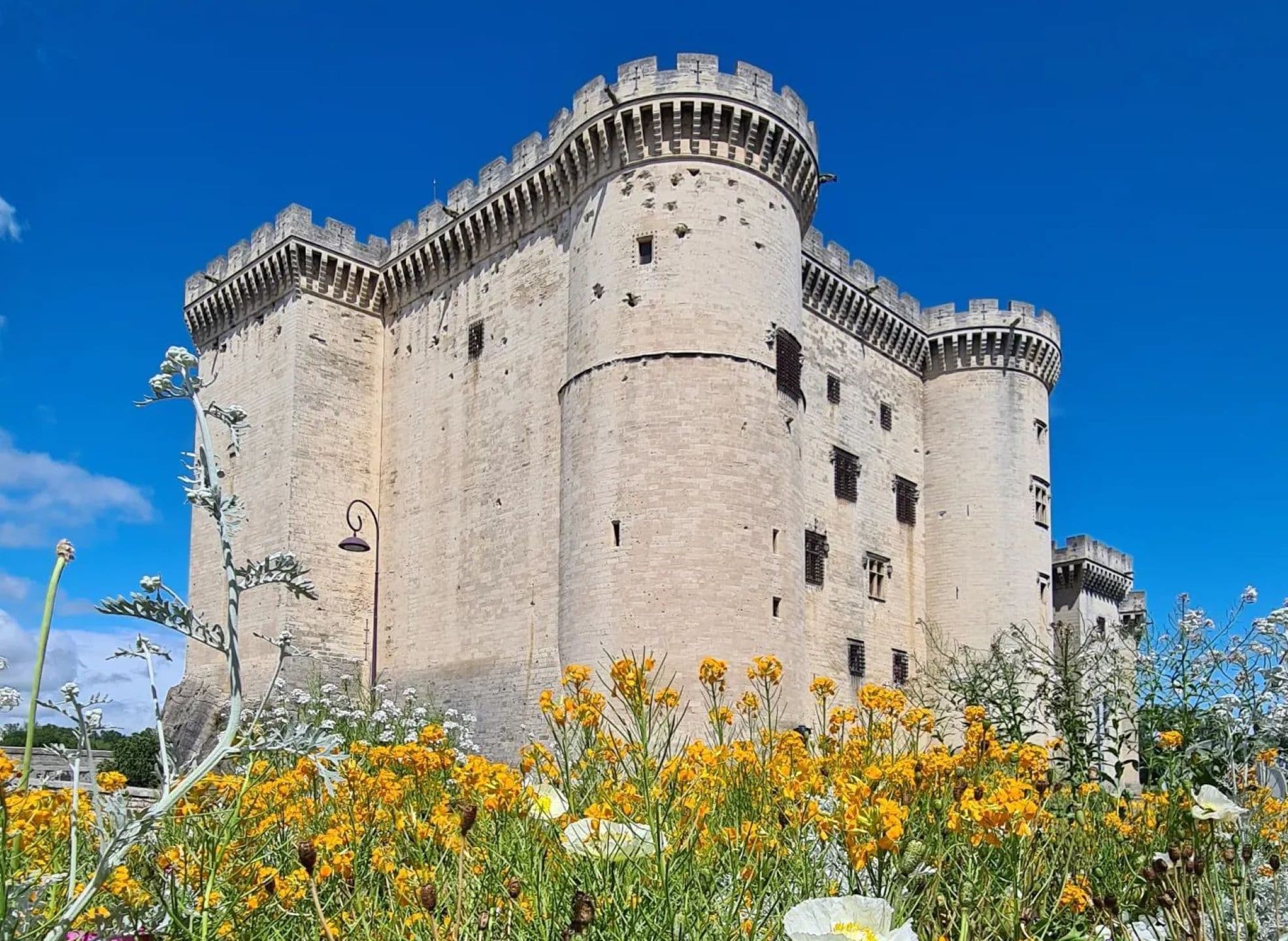 Château de Tarascon