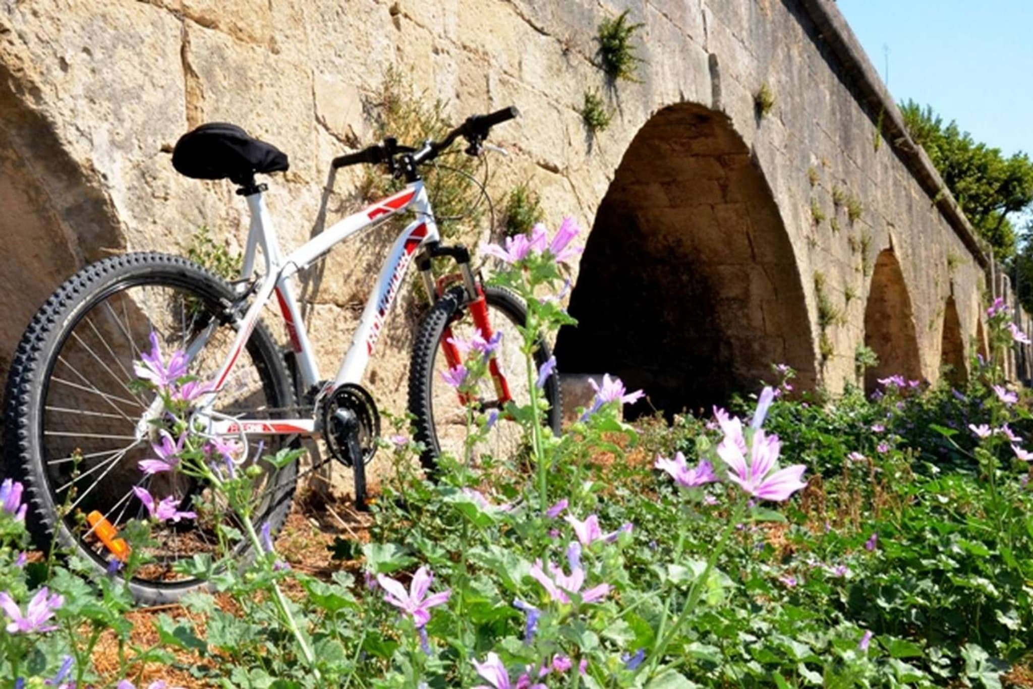 ARLES - Autour du canal de Craponne à vélo