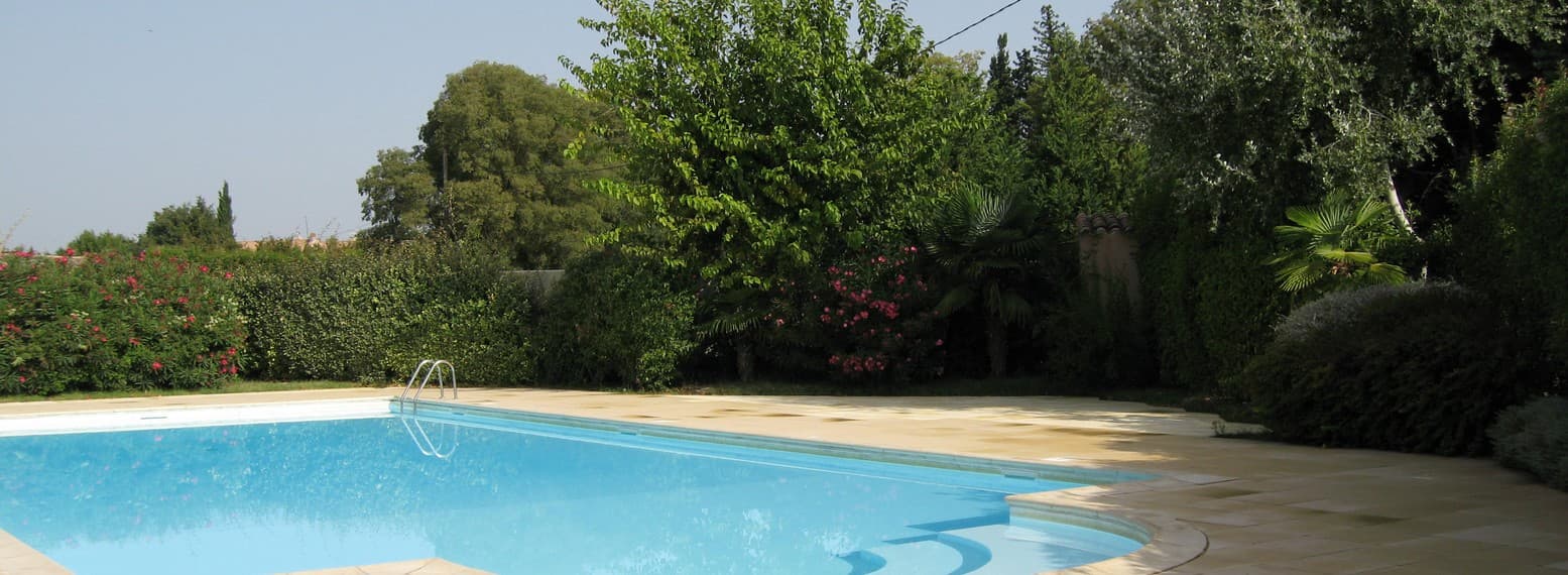 Le Murier Platane Mouries_piscine