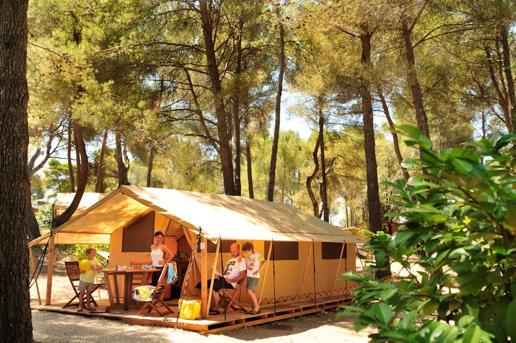 Les Pinèdes du Luberon