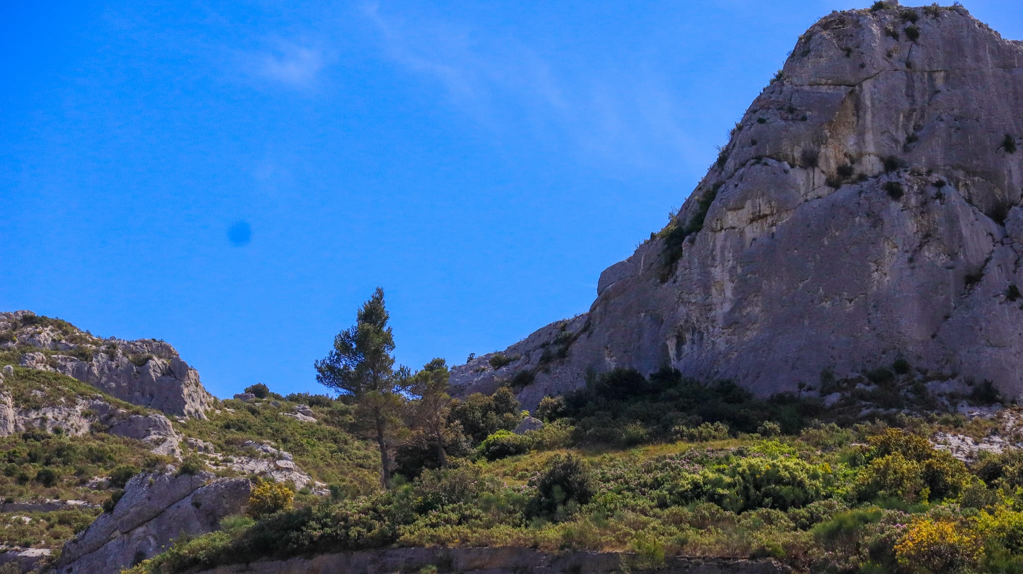 Lac de Lavau_Orgon