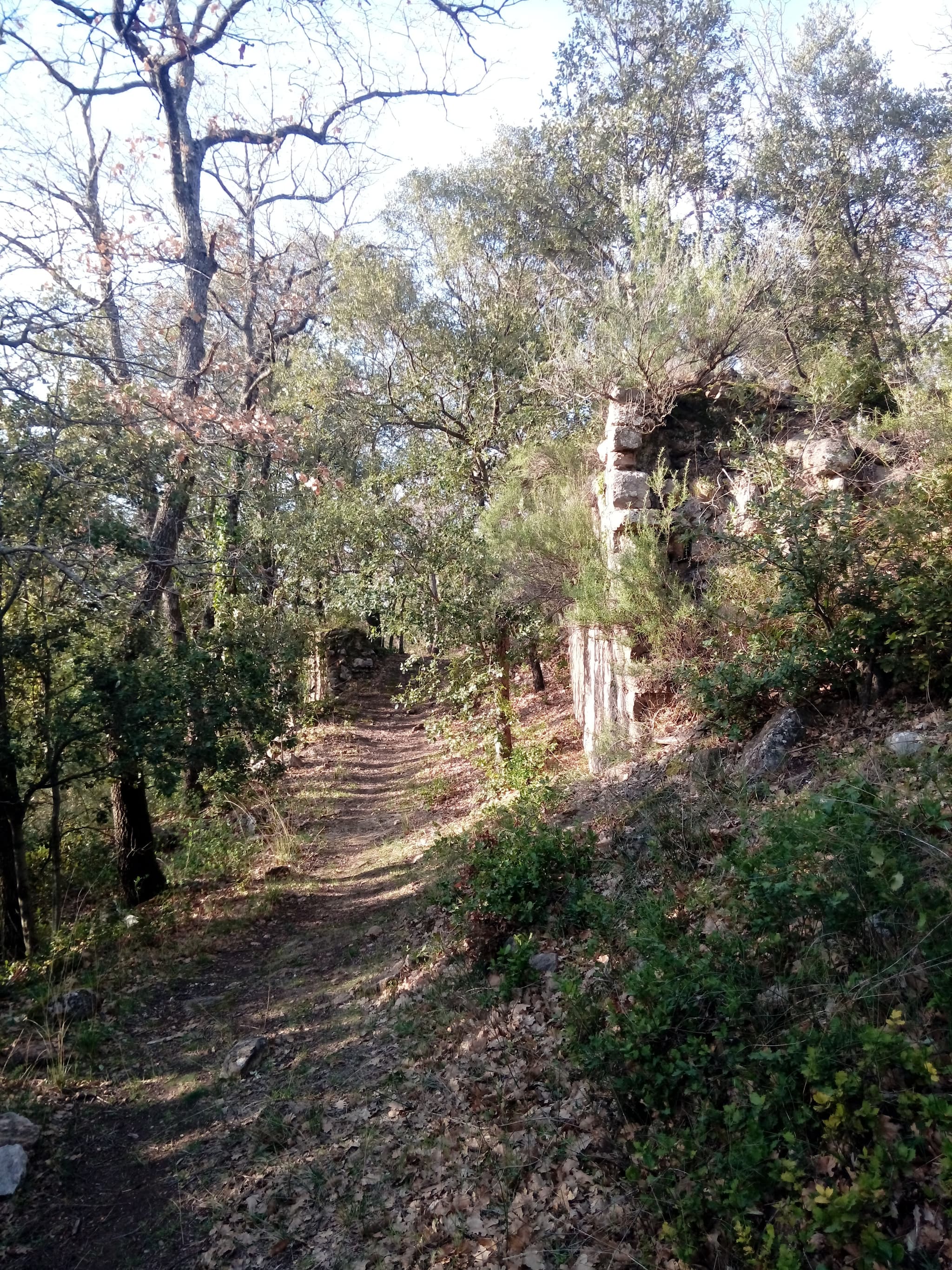 Randonnée "Le Castrum Saint-Michel"