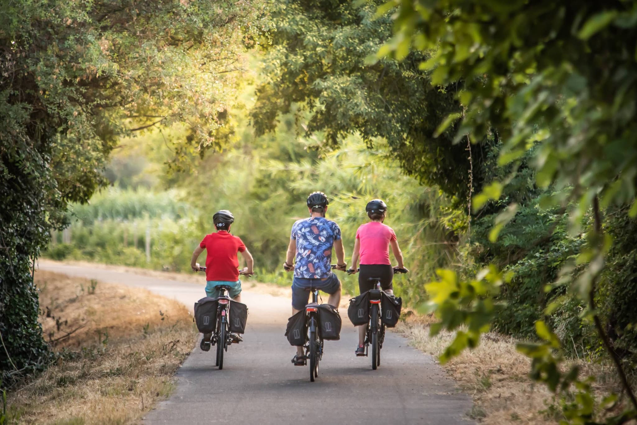 SAINT-RÉMY-DE-PROVENCE - Les jardins de Mistral à vélo