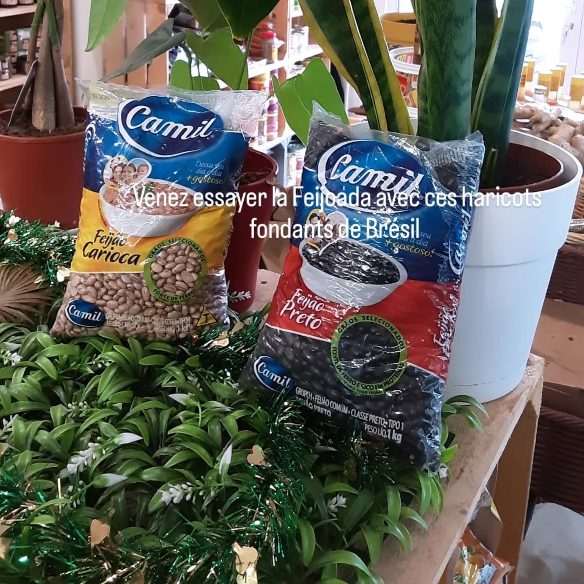 Comptoir Exotic_Aubagne