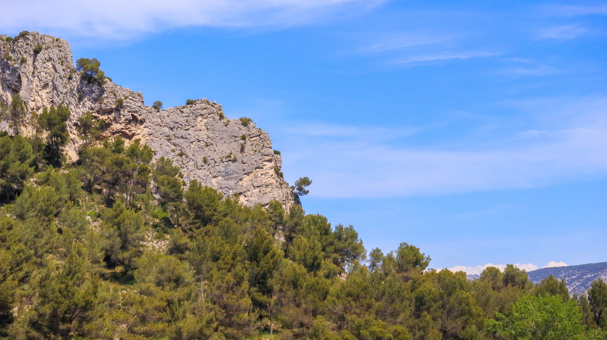 Lac de Lavau_Orgon