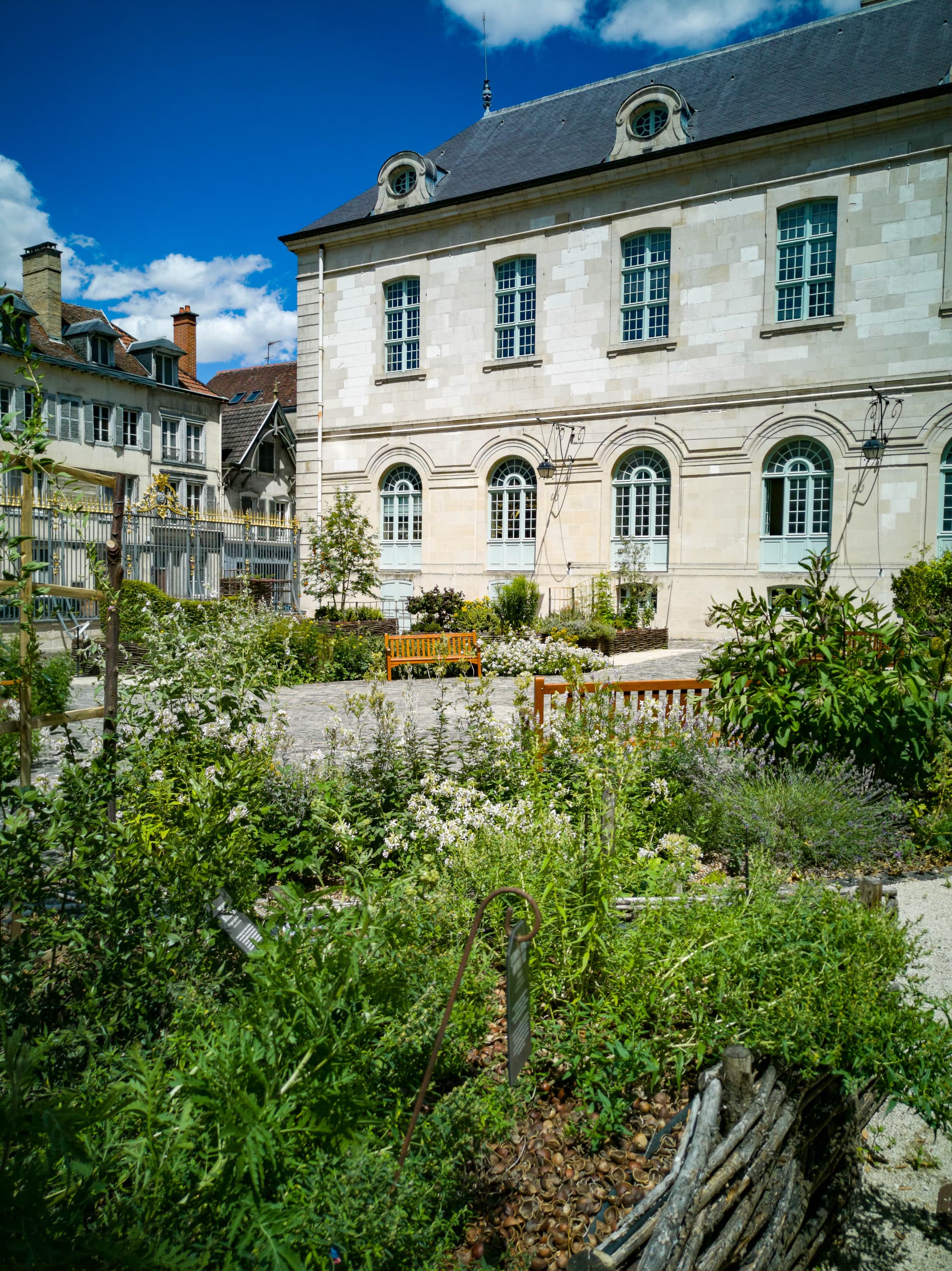 Flânerie - Secrets d'Apothicaire : les remèdes botaniques_Troyes