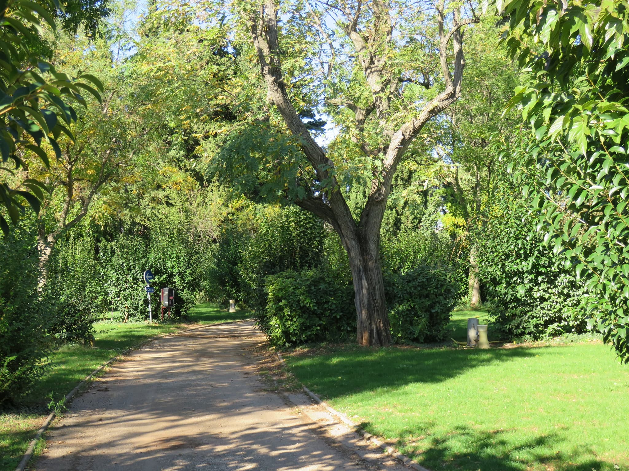 Camping Les Romarins