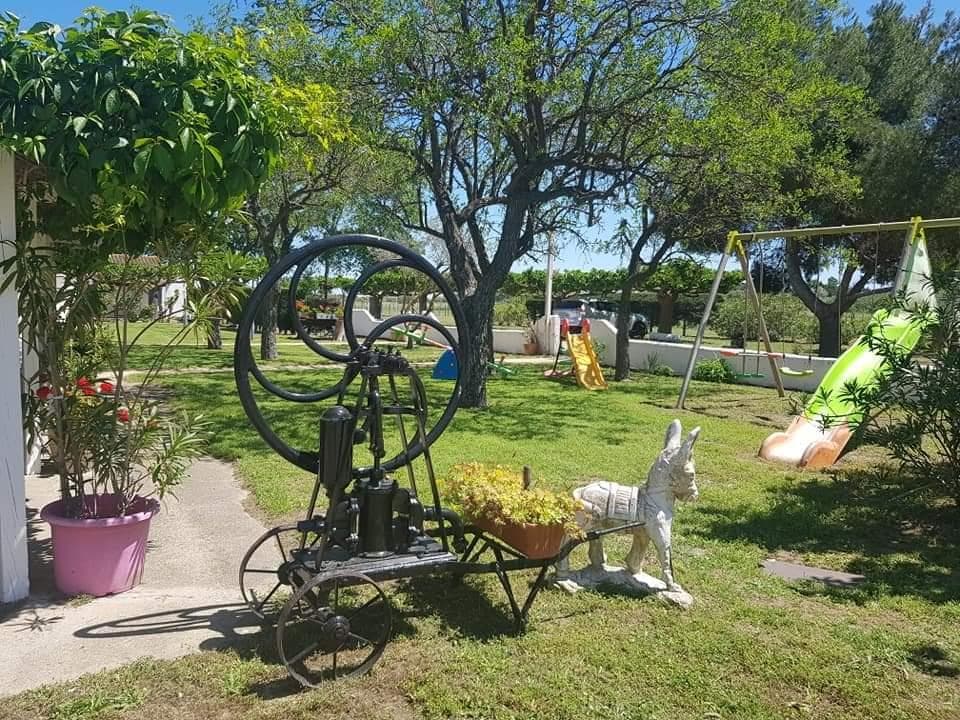 Le Mas de mon père