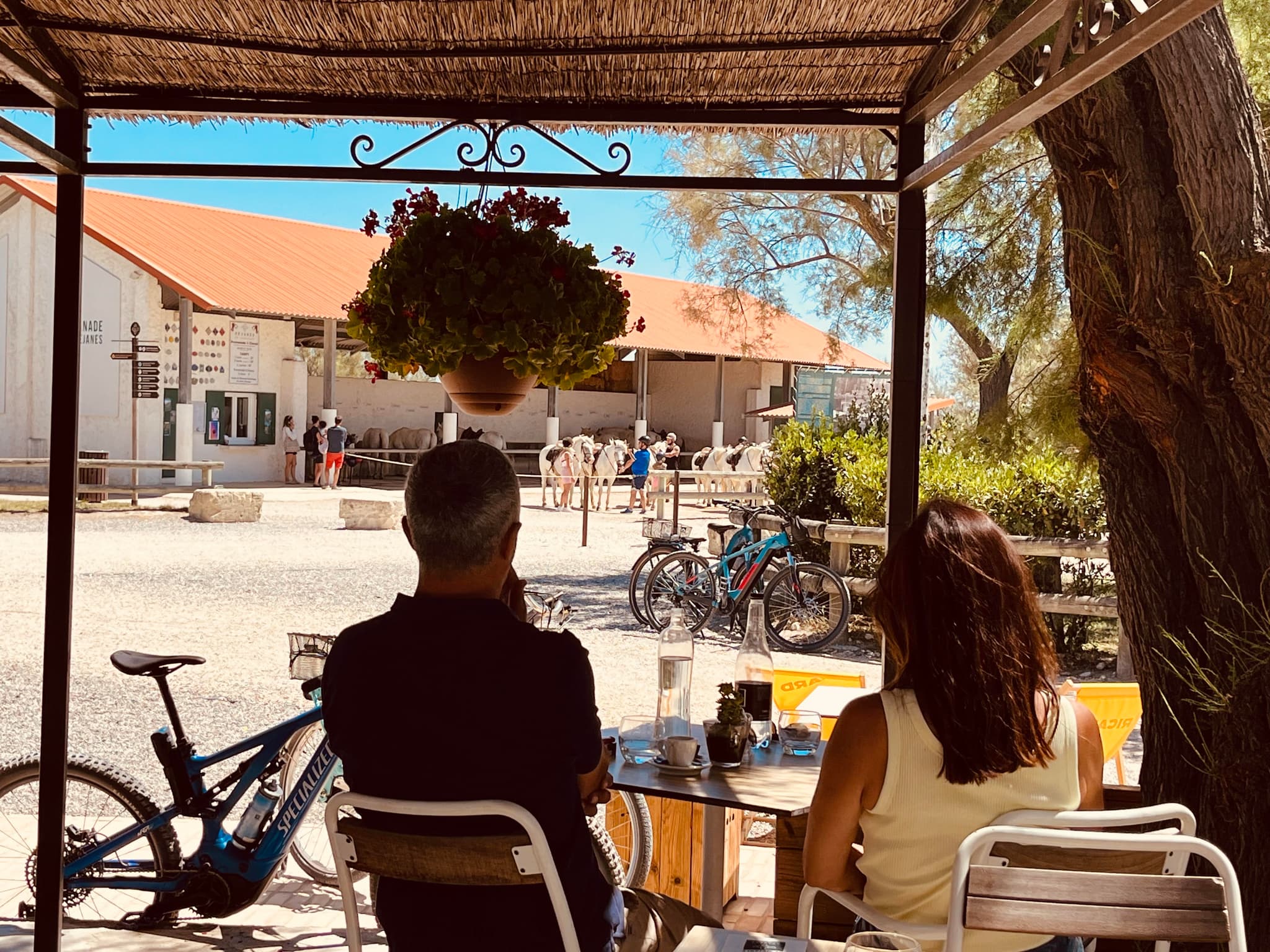 Vue de la terrasse
