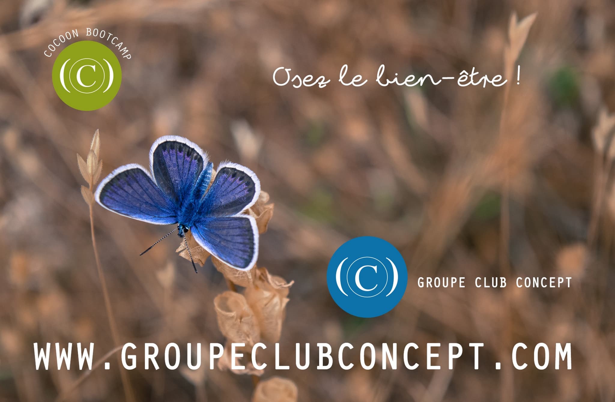 Coaching Bien-être - Alpilles Luberon