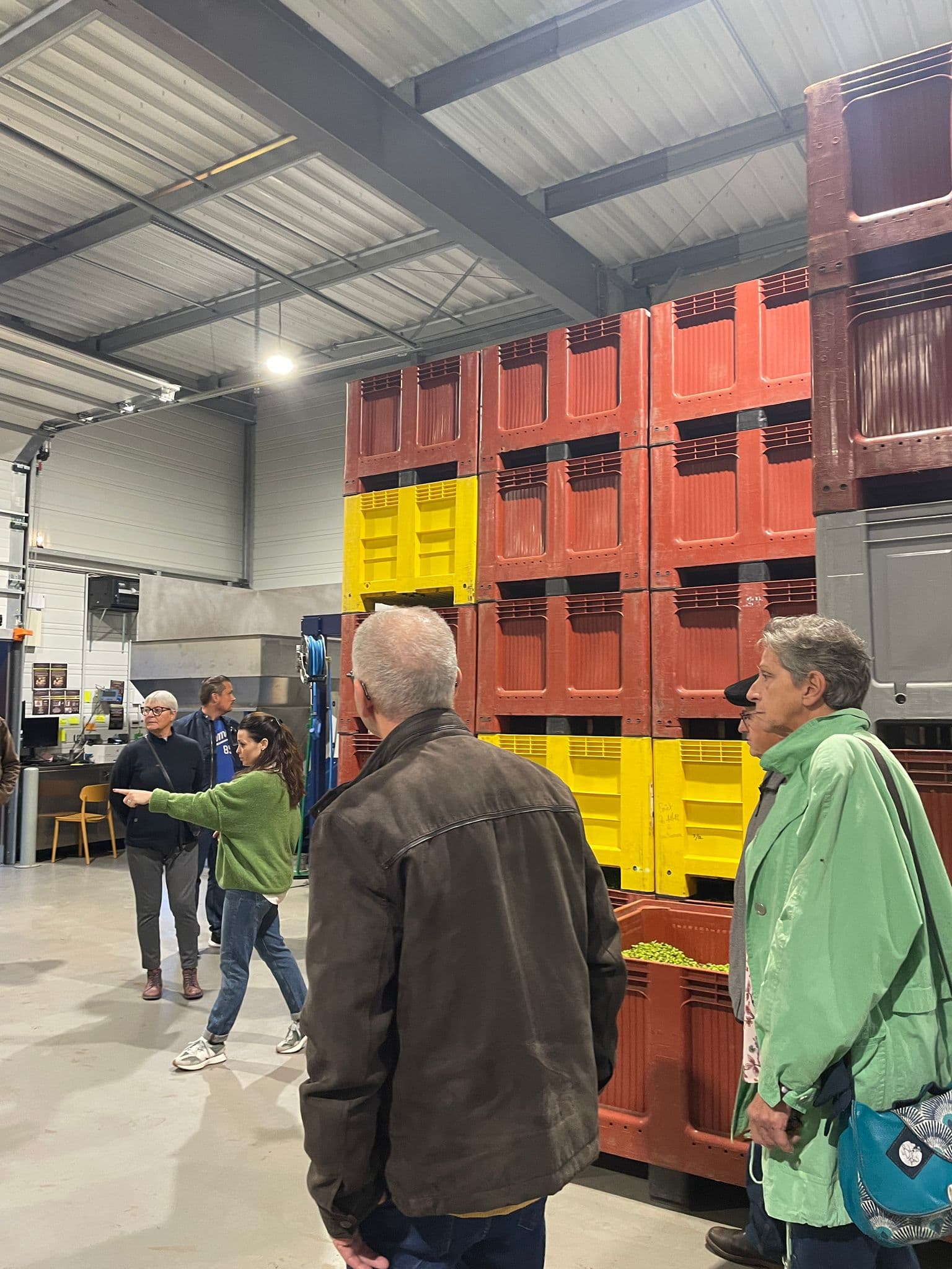 Découverte de la transformation des olives au Moulin à Huile Leydier_Istres
