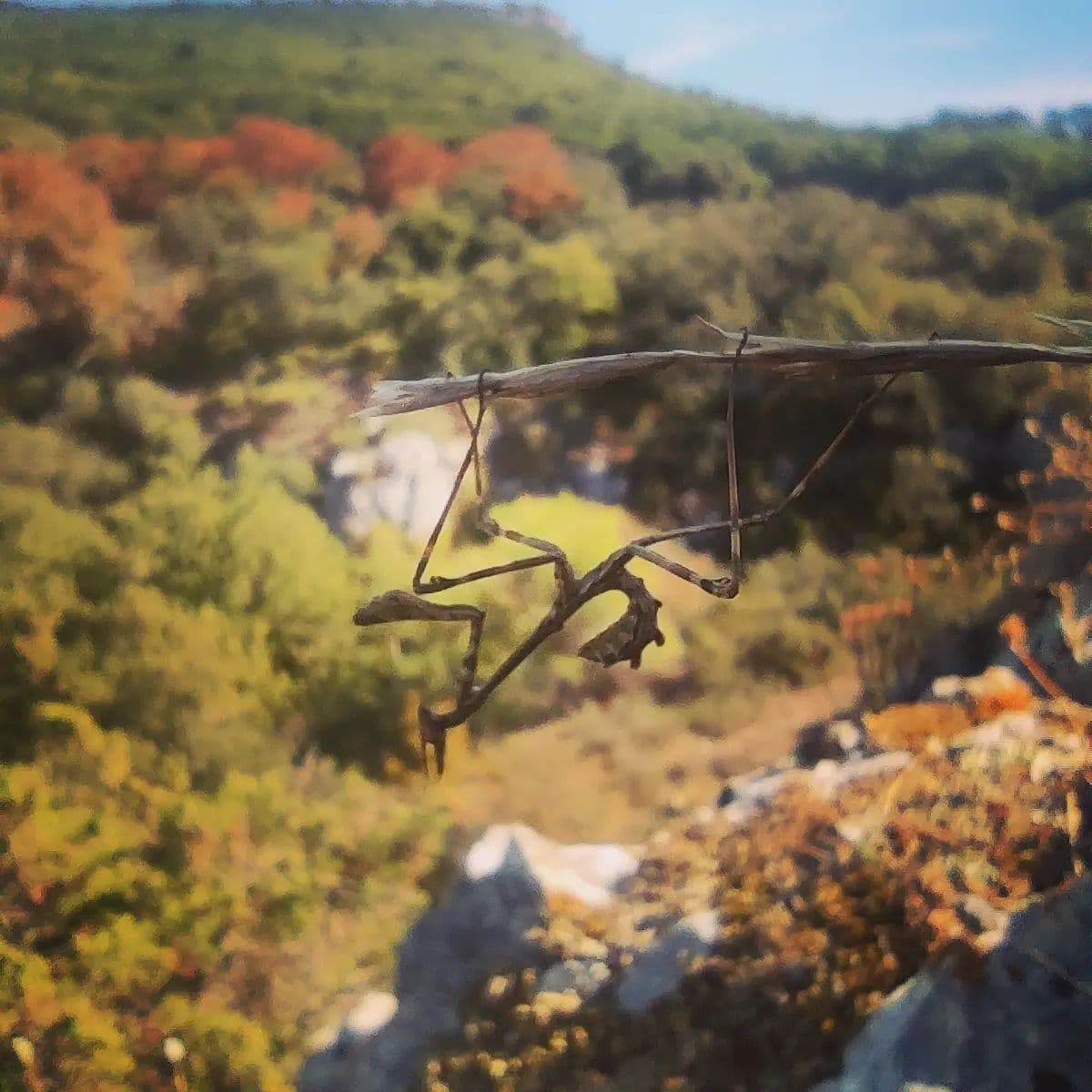 Randonner la Provence