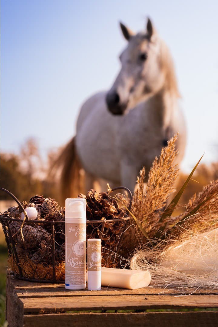 Elevage des prairies - Lait de jument de Camargue