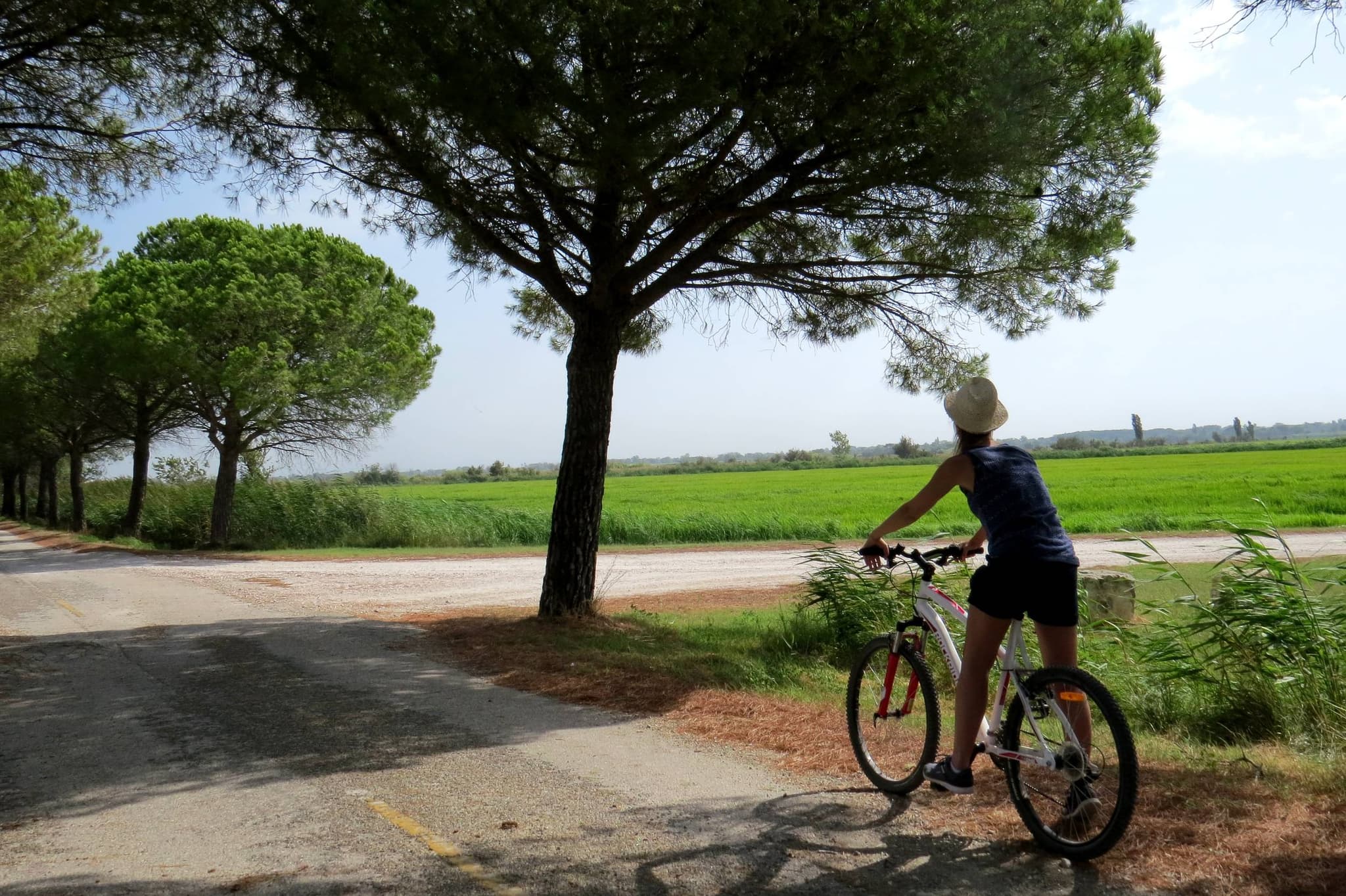 ARLES - Autour du riz et des chevaux de Camargue à vélo