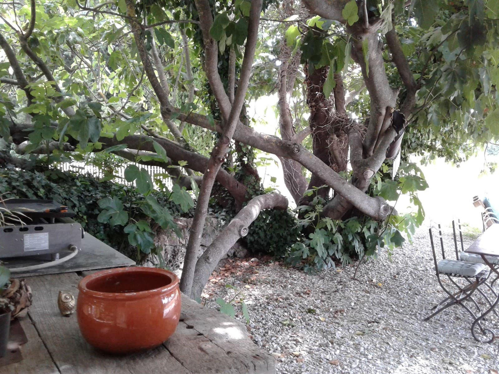Mas Provençal