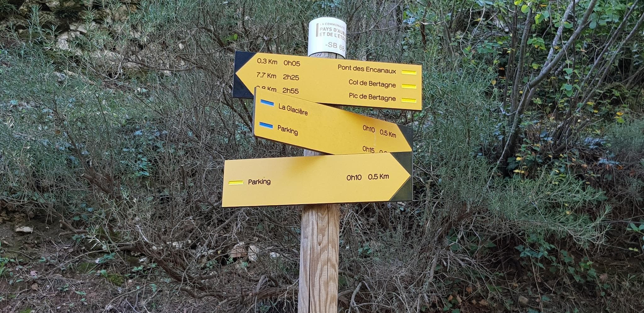 Les Cyprès