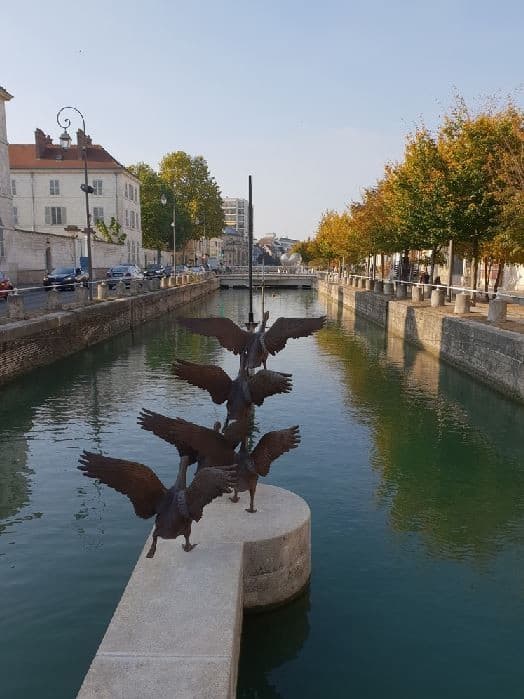 Capture envolée.JPG