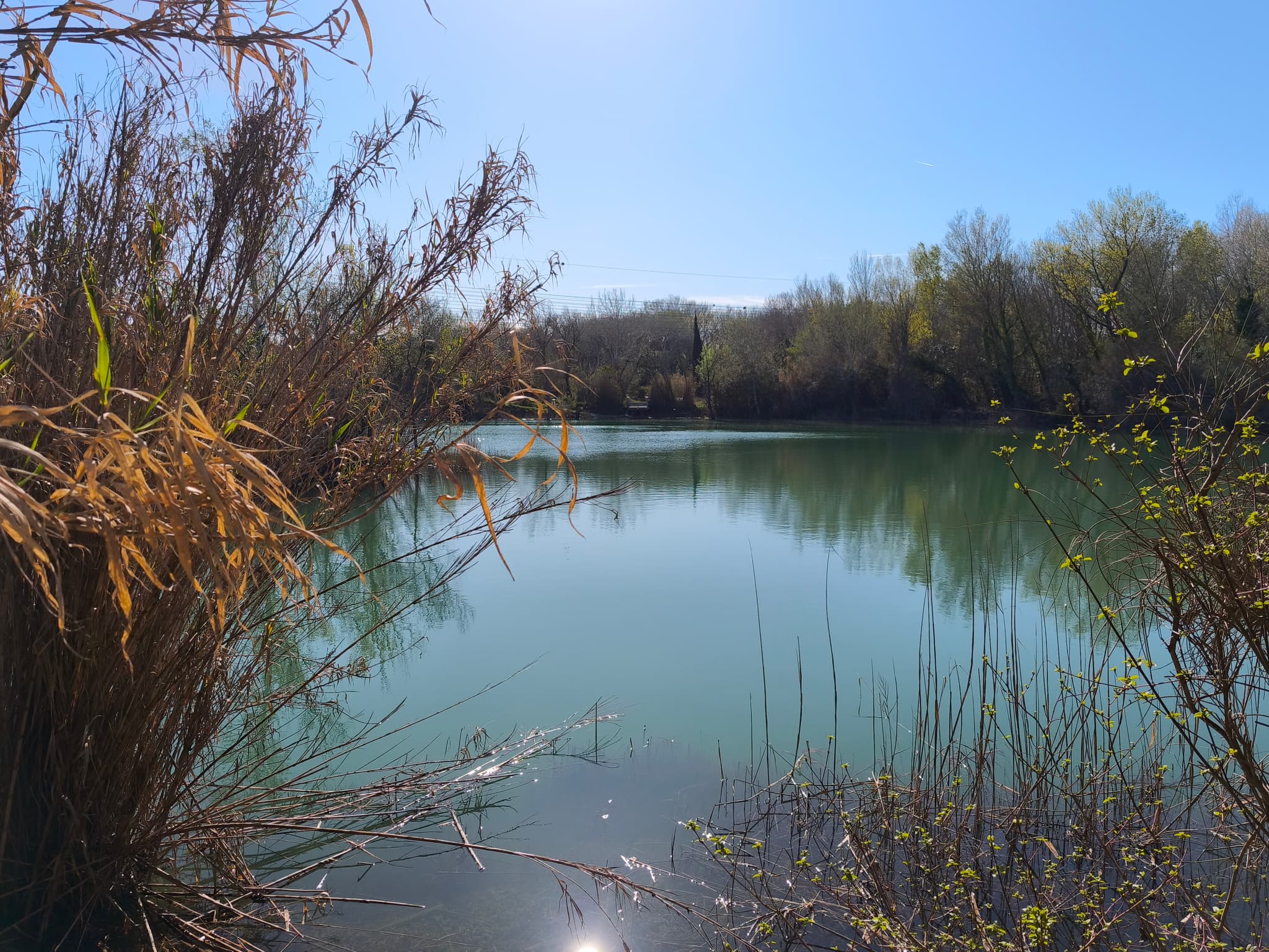 Aire de pique-nique du lac des Iscles_Noves