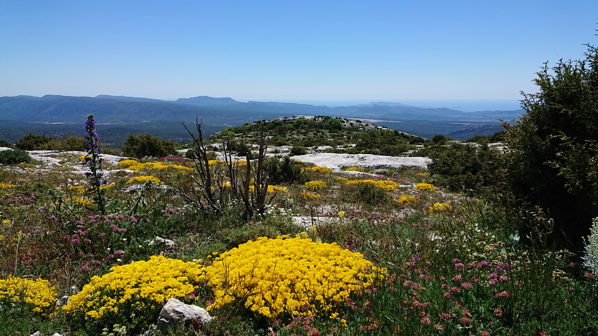 Massif de la Sainte Baume