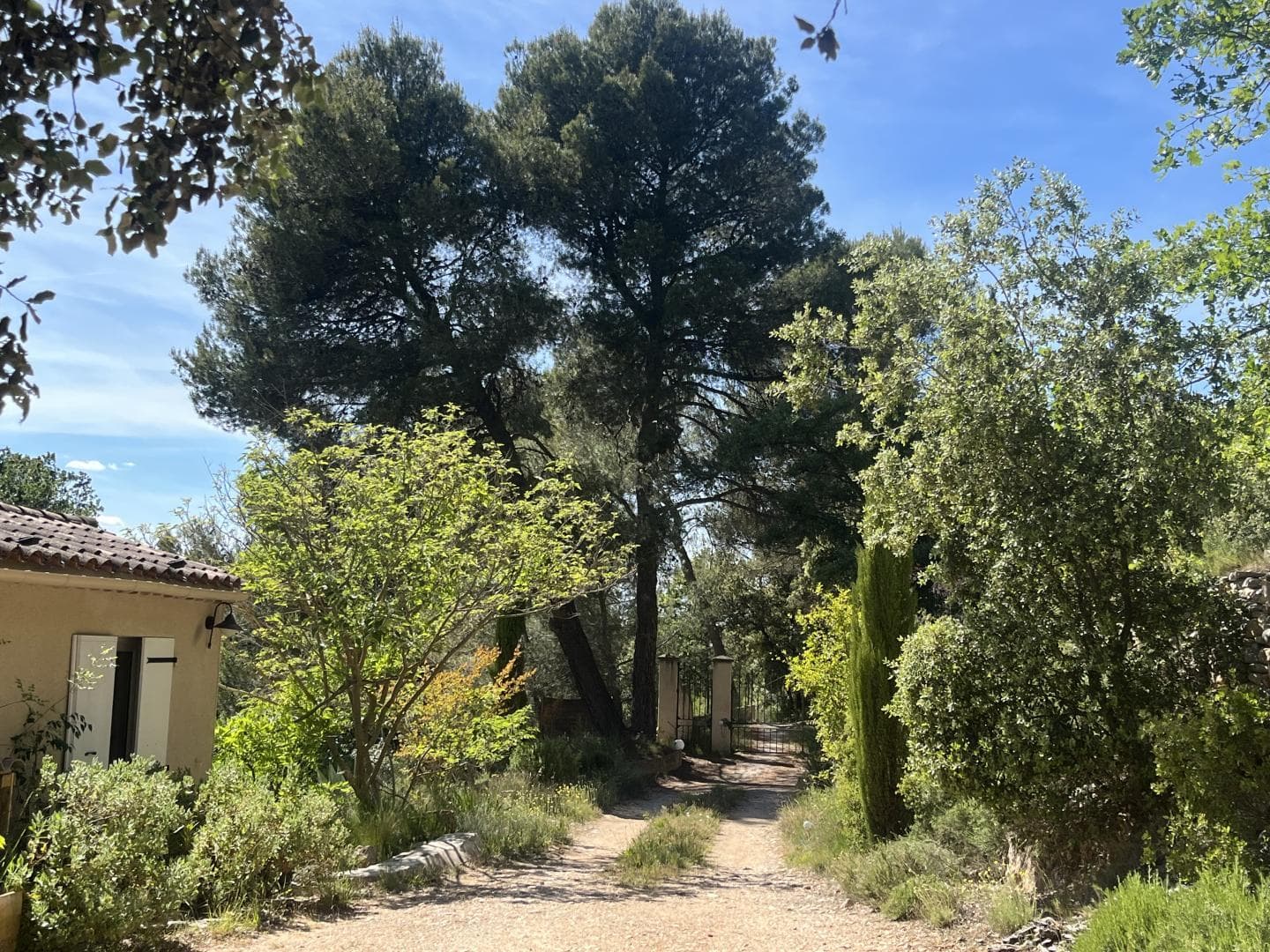 Villa Millettia