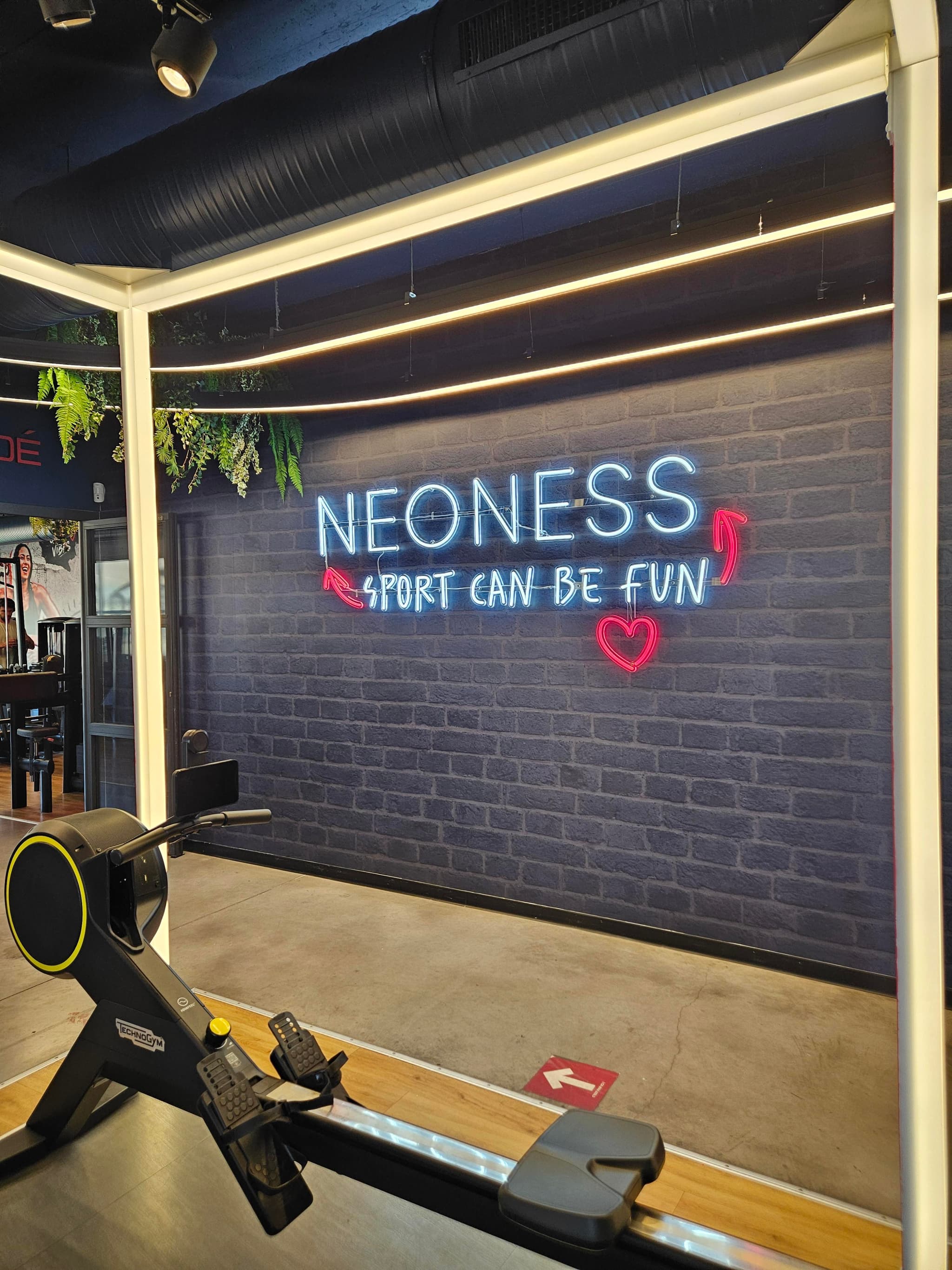 NEONESS
