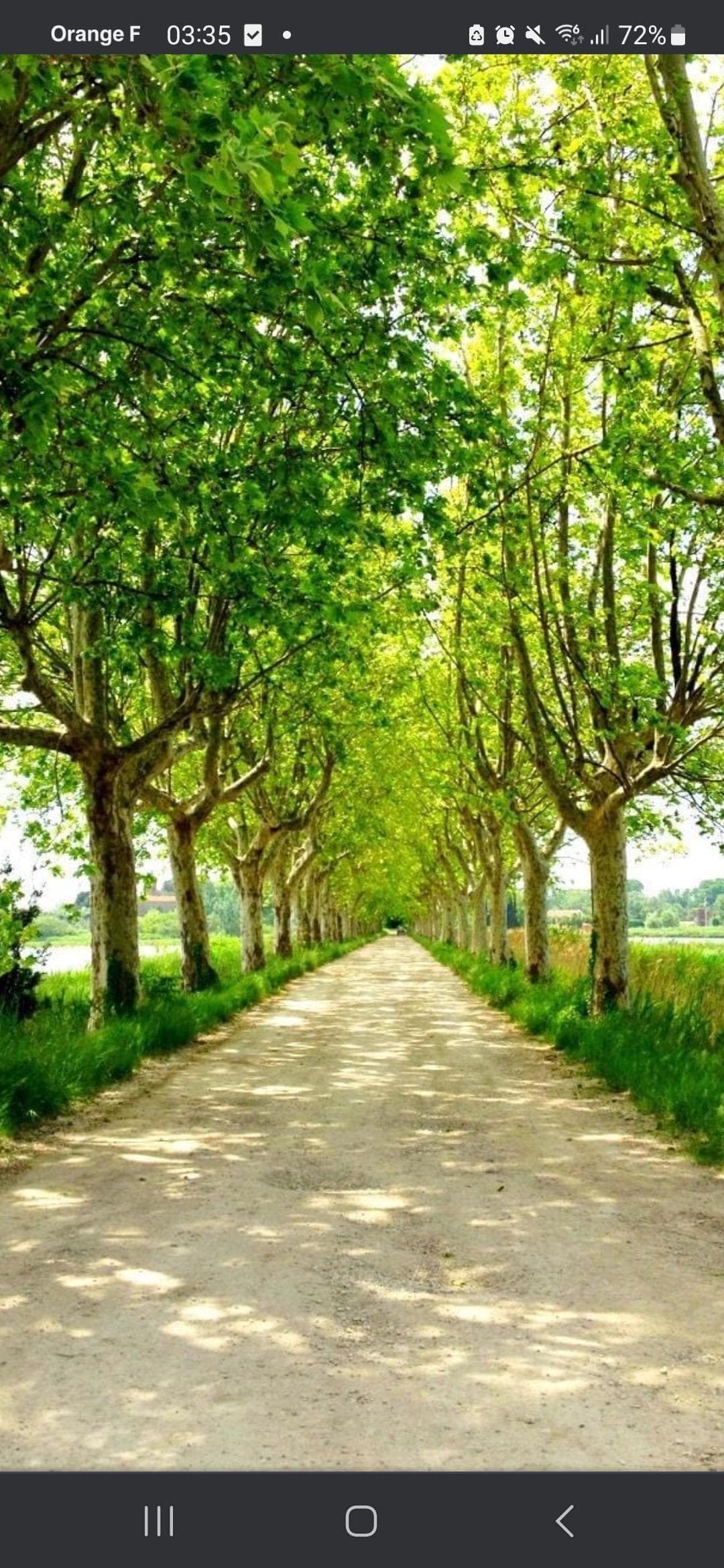 PAILLERE
