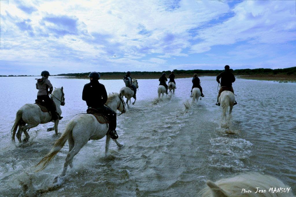 Crin Blanc_Saintes-Maries-de-la-Mer