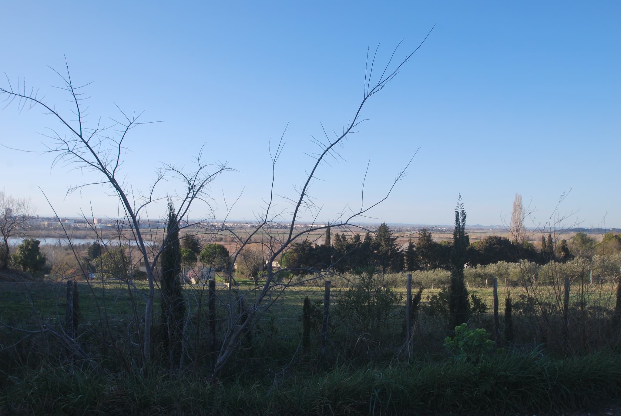 Les Olivades