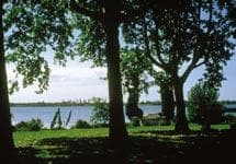 Etang des Aulnes