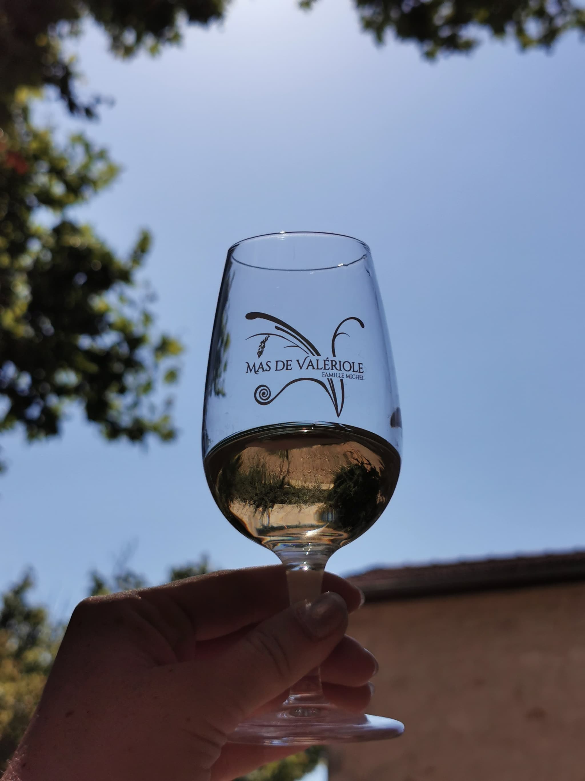 Verre de dégustation