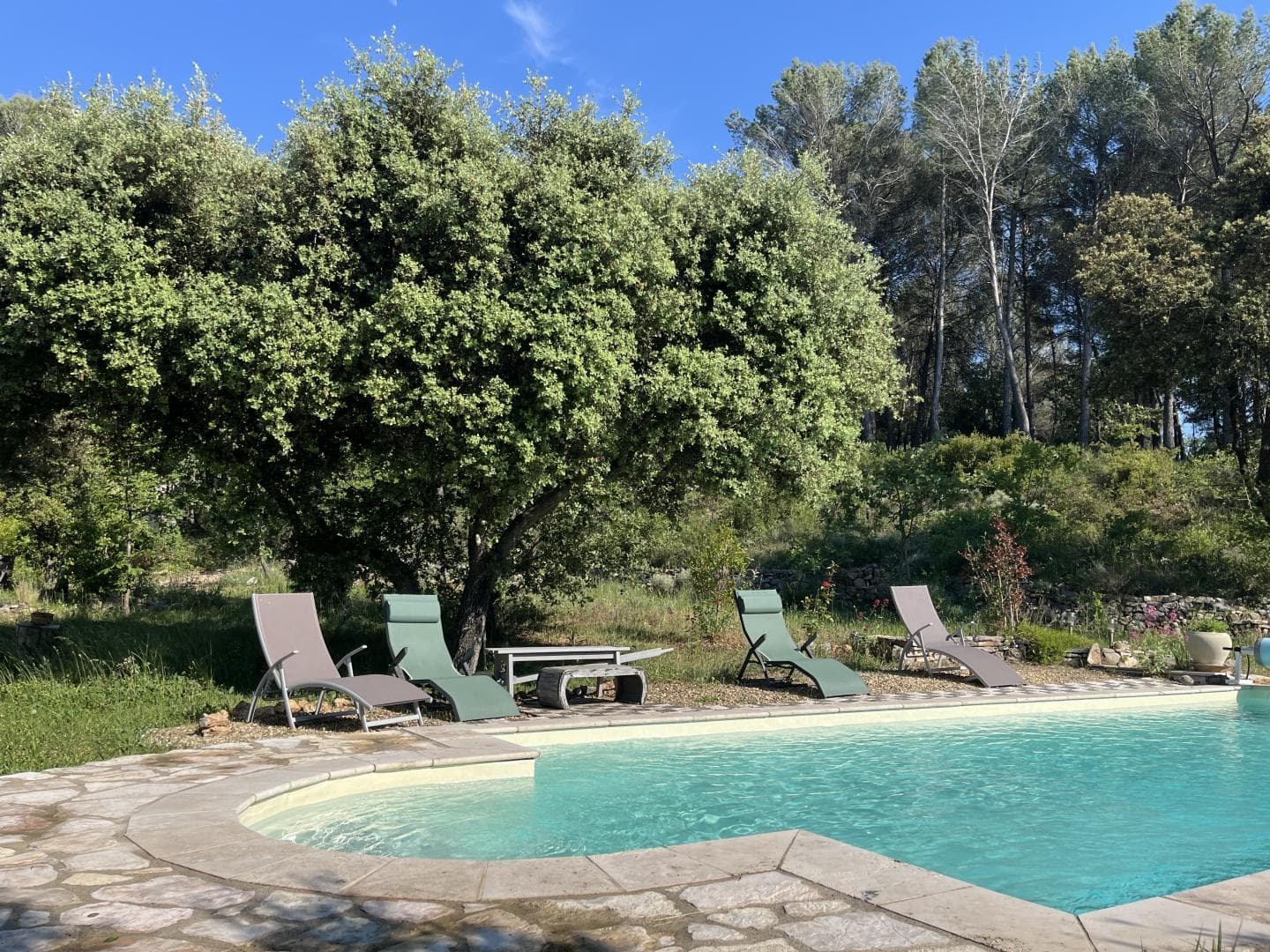 Villa Millettia