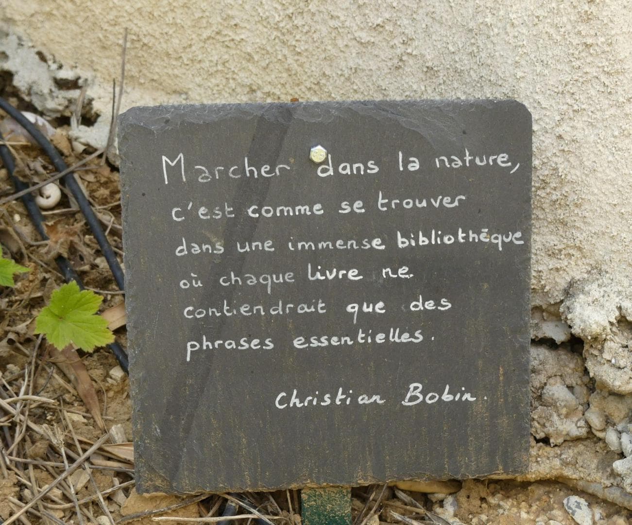 Le Mas Du Biaou