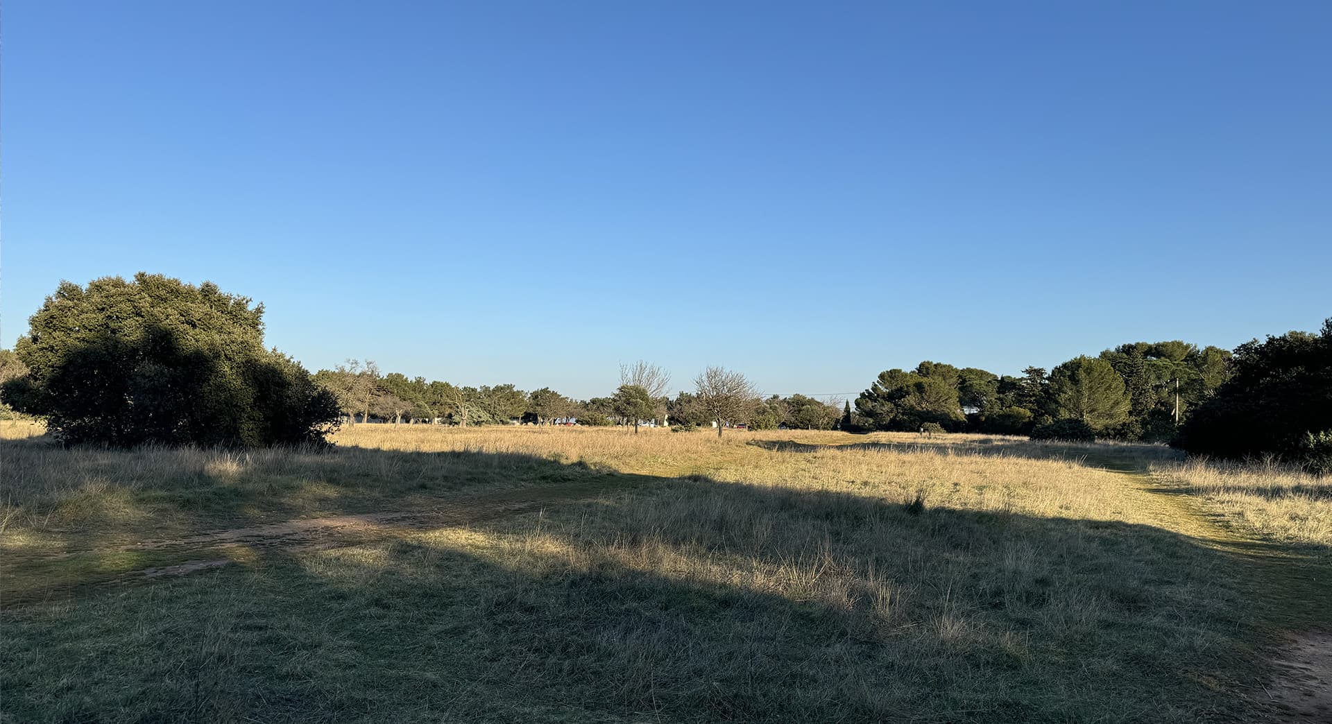 Plateau de la crau_Saint-Rémy-de-Provence