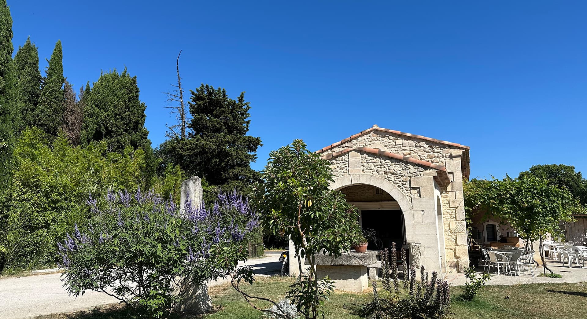 Camping Parc de la Bastide_Saint-Rémy-de-Provence