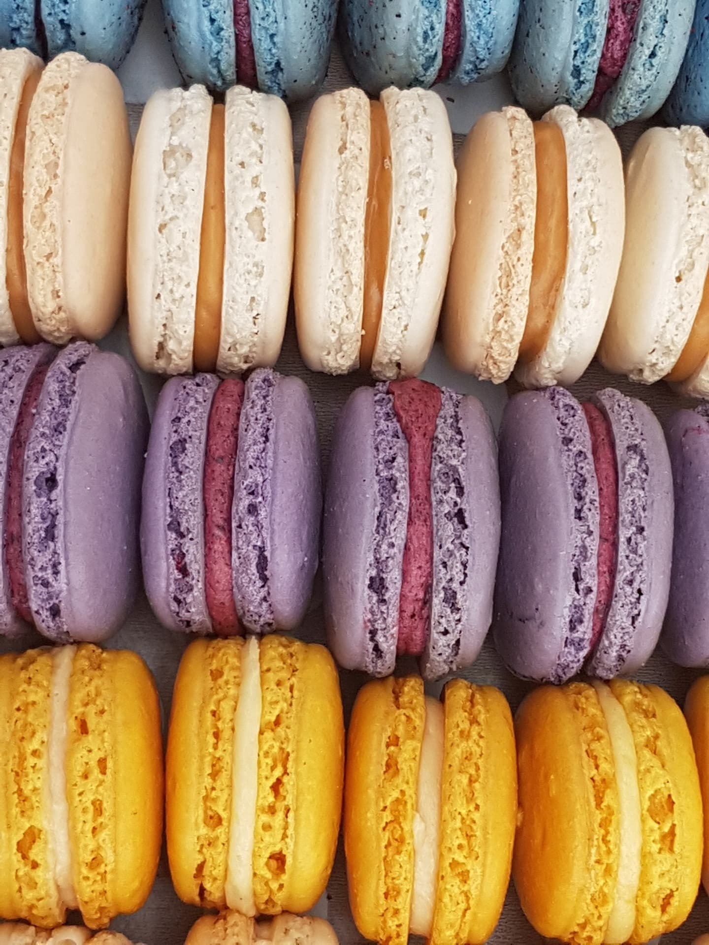 Gourmandyne par Benoît Molin