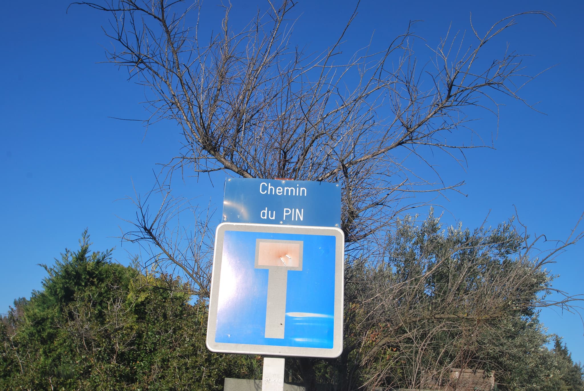 Les Olivades