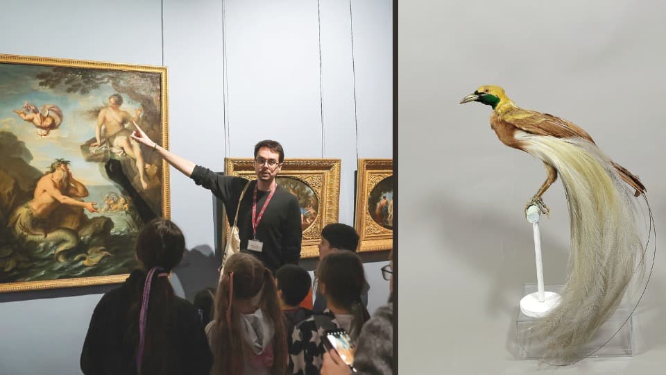 Les animaux fantastiques du musée_Troyes