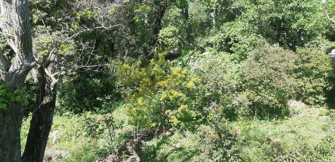 ECOLIEU des Espillieres