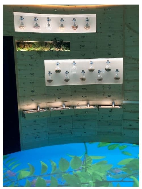 Espace musée Mx Marseille
