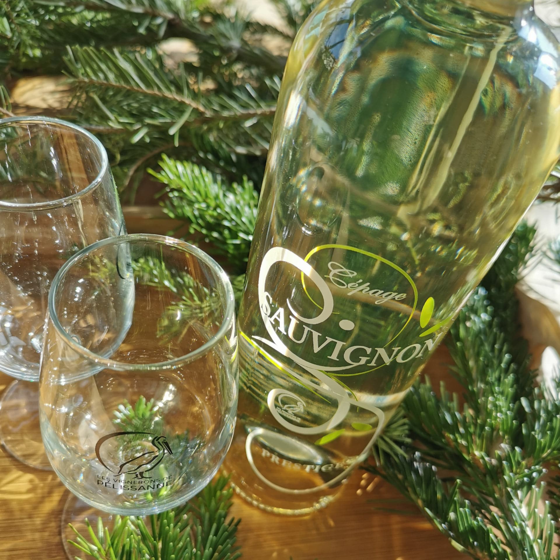 les vignerons de Pélissanne 1