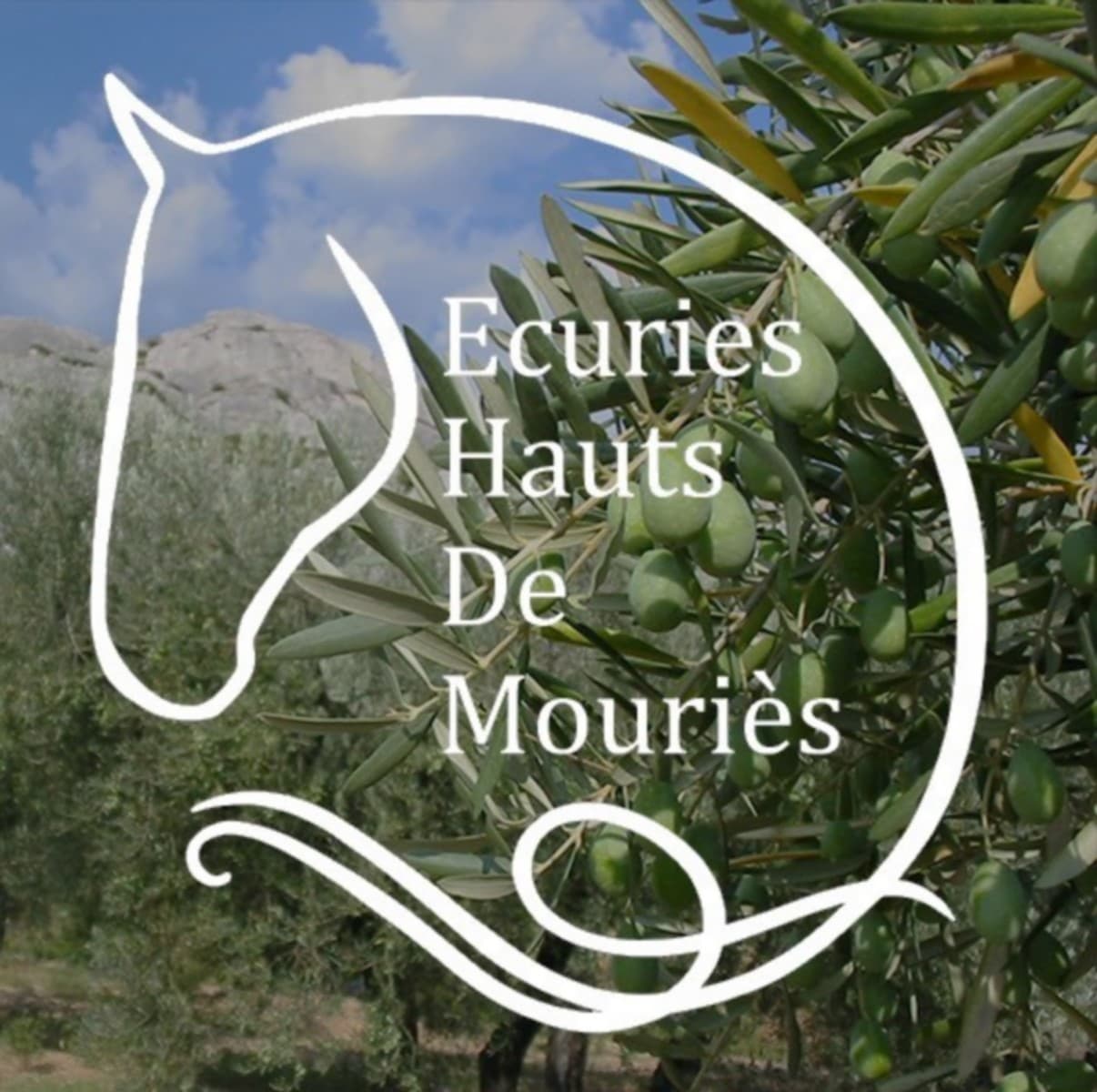 Les Écuries des Hauts de Mouriès