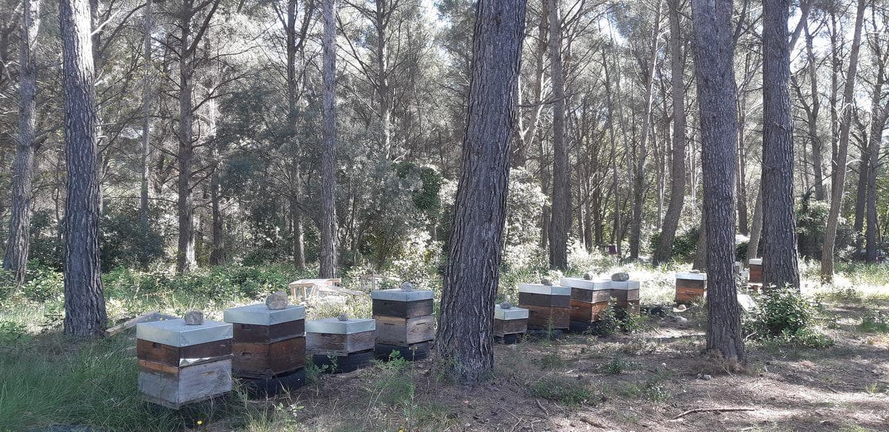 ECOLIEU des Espillieres
