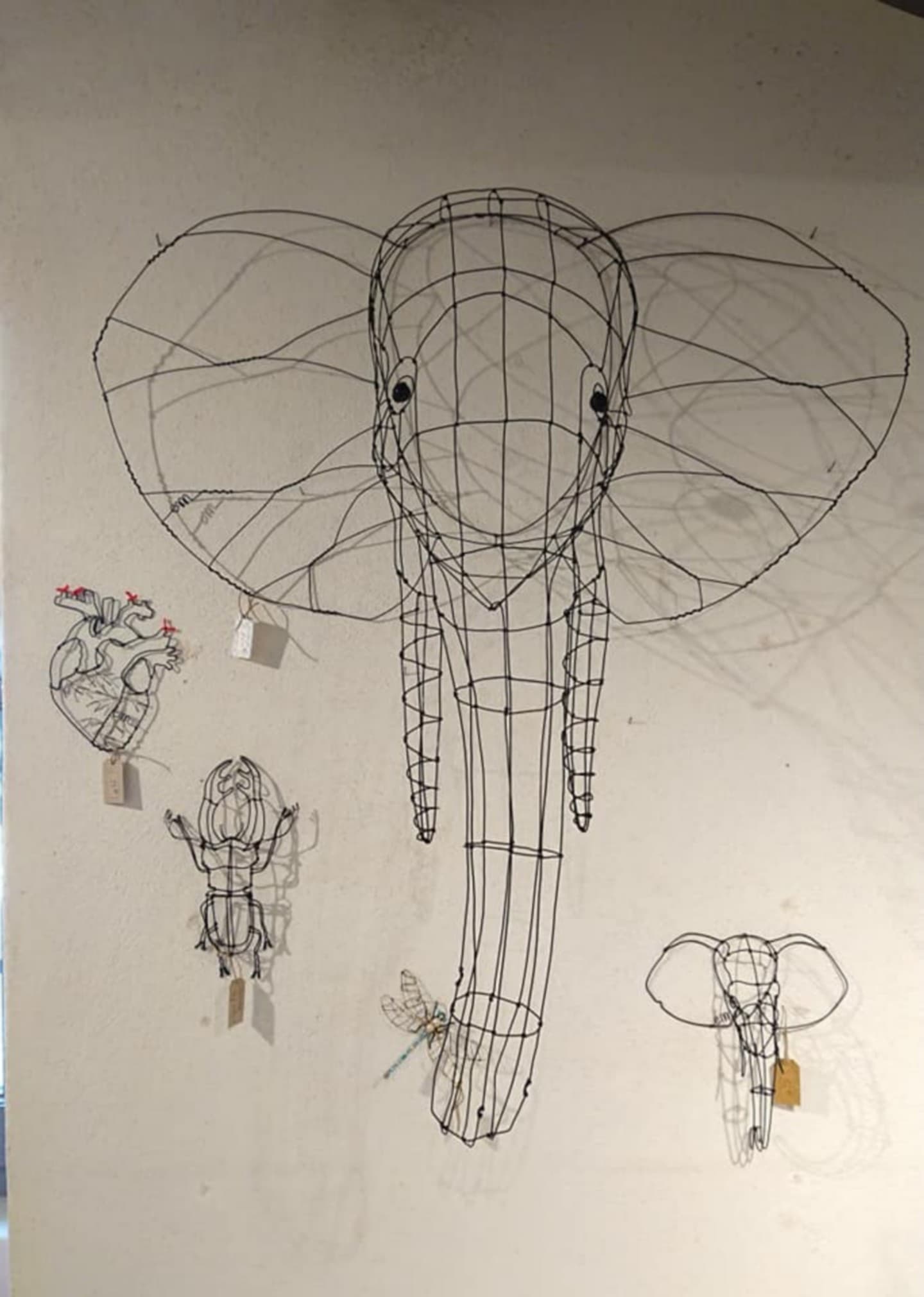 Hand_co_elephant